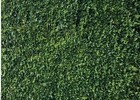 Green Leaves Photography Backdrops Grass Backdrop Wall Greenery Safari Party 