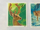Set Of 3 Prc China Stamps 1980 Scott  1610  1611  1612 Sitka Deer Mint Mh