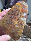 Mfrb Of Old Stock Rocks  13  Pounds Agate Jasper Rough Plume Moss