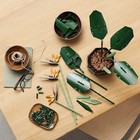 Bird Of Paradise Botanical Collection 10289 Building  Bricks Set