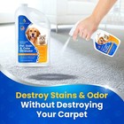 Pet Stain Remover   Odor Eliminator Spray - Enzyme Powered Carpet Cleaner