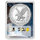 2024-s Proof  1 American Silver Eagle Pcgs Pr70dcam Fdoi Eagle Frame