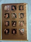 1993 Playboy Playmate Wall Calendar And 3 Year Planner vintage-8 5x11-corrina