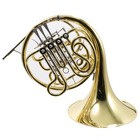C g  Conn Model 11dn Professional Geyer Wrap French Horn Sn 663845 Superb