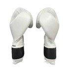 Cleto Reyes Training Gloves With Hook loop All Oz Available - Original Leather