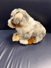 Nwt Ganz Webkinz Signature Australian Shepard Plush Htf Unused Code