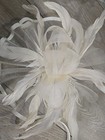 Lucky Leaf Women Girl Fascinators Hair Clip Feather Cocktail Wedding Tea Party
