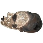 Vintage Tribal Art African White   Black Hand Carved Punu Spirit Wall Mask 13 