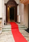 Red Carpet Aisle Runner 24x15ft Wedding Party Event Rug Indoor Outdoor Decor