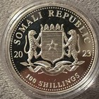 2023 African Wildlife Elephant 100 Shilling 0 999 1 Oz Silver Coin W gold Gilded