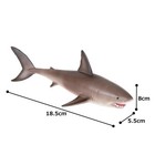 Great White Shark Realistic International Wildlife Hand Painted Toy Figurine    