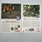 Wildlife As Canon Sees It Vintage Print Ad Lot 7 x10  Ea 7 Ads