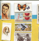 13 Different English Cigarette Mixed Collector Vintage Tobacco Card Lot