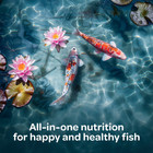 Floating Koi Fish Food 10 Lb Bag Pond Pellets Outdoor Water Garden Feed Bulk