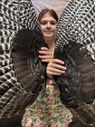 Pair Wild Turkey Wings Feathers Plume Fan Bustle Fly Tying Craft Art Mount Hat