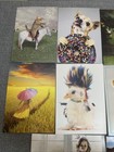 Lot Of 10 Greeting Cards Mixed Birthday