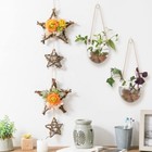 2 Pack Terrariums Container Flower Planter Hanging Glass For Hydroponic Plant   