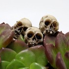 20pcs Mini Skull Figurine Miniature Skeleton Head Statue Micro Landscape Figure