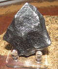 198 Gm   Canyon Diablo Iron Meteorite  Museum Gd Arizona  45 Lbs  Jal Stand
