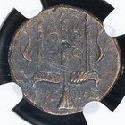 Hieron Ii Ae Sicily Syracuse Ancient Greek Bronze Coin 275-215 Bc     Ngc Ch Vf