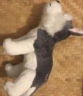 Ganz Webkinz Hm818 Siberian Husky 10   plush Stuffed Animal Toy No Code See Photos