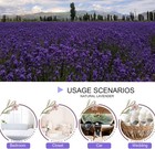 Dried Lavender Flowers Bulk 12oz For Wedding Toss Crafts Sachets Buds Natural