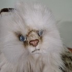 Russ Vintage Yomiko Himalayan Persian Cat Plush Stuffed Animal Realistic 