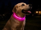 Led Light Up Dog Collar Pink Flashing Safety Collar Xl Night