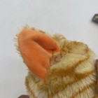 Feisty Pets Princess Pottymouth Orange Tabby Cat Plush 8  Toy  Bundle Of 2 