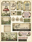 Frog Embellishments Junk Journal Scrapbooking Ephemera Pick A Set 