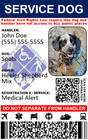 Service Dog Id Card Ada Customizable - Single Sided