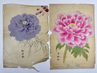 Japanese Drawing Print    botan-hyakushu    Various Paintings Of Peonies 27print