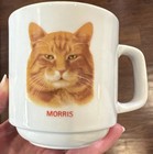 Morris The Cat Mug Vintage 80s Papel 9 Lives Mascot Orange Tabby Coffee Mug Cup
