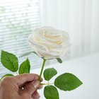 50pcs Ivory Roses Artificial Flowers Bulk Fake White Roses Silk Flower With S   