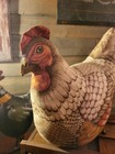 Vintage Stuffed Hen   Chicken Hand Crafted Fabric Pillows Farmhouse Art Decor