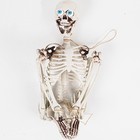 32pcs Halloween Eyeballs 22mm 3d Realistic Plastic Doll Eyeball Scary Fake    