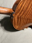 First National Institute Of Allied Arts Violin Stradivarius 1920-1930 - Varnish