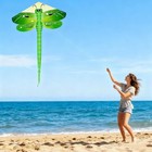 Large Dragonfly Kite  63x43inch Single Line Colorful Kite With Long Tail Begi   