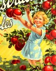 Australia 1930 Australian Apples Vintage Poster Print Retro Style Travel Art