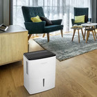 Frigidaire High Humidity 50 Pint Capacity Dehumidifier Ffad5033w1