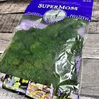 Supermoss 21703 Reindeer Moss Preserved Forest Green Color Enhanced
