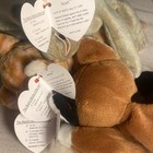 90s Vintage Cat Plush Ty Beanie Babies Stuffed Animal Lot Amber Scat Chip 1990s