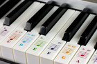 Qmg Piano Keyboard Stickers For 88 76 61 54 49 37 Key Large Letter Piano Sticker