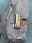 Native American Vintage Royston Turquoise And Silver Large Pendant 2    Old 1940s