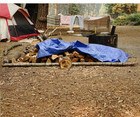 Grizzly Tarps By  8  X 10  Large Multi-purpose Waterproof Heavy Duty Poly Tarp W