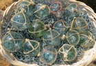 Japanese Glass Fishing Floats 2-2 5  Netted Lot-10 Net Buoy Balls Antiques