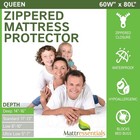 Zippered Queen Mattress Protector 14 -16  Depth - Bed Bug Waterproof Mattress   