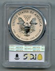 2011 P American Silver Eagle Dollar Pcgs Pr 69 Reverse Proof