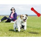Dog Chew Toys For Aggressive Chewer Rubber Bone Pet Teeth Cleaning Dog Toy