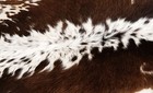 100  New Cowhide Rugs Area Cow Skin Leather  42  X 39   Cow Hide Sa-3504
